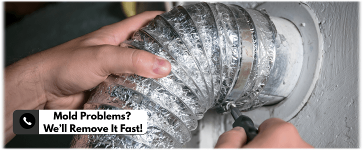 Air Duct Mold Removal in Frisco TX