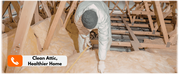 Attic Cleaning Frisco TX