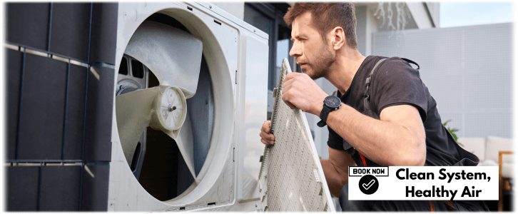 HVAC Mold Removal Frisco TX